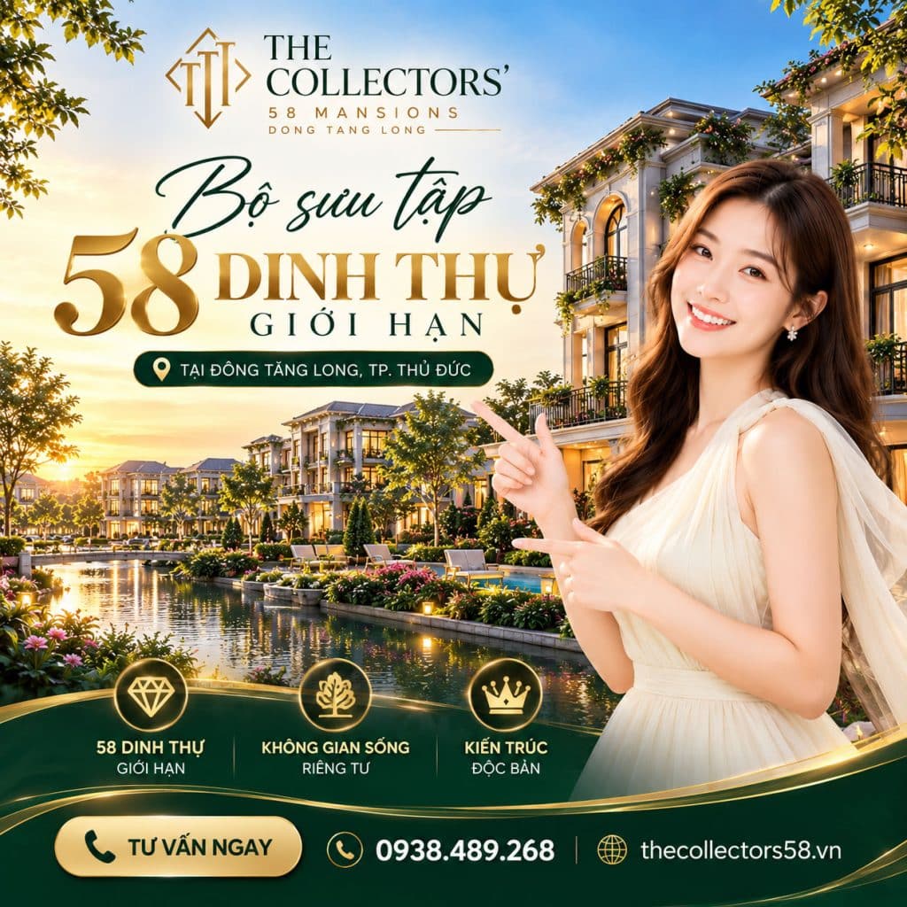 Dự án The Collectors