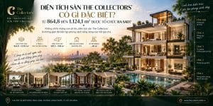 Diện Tích Sàn The Collectors' Có Gì Đặc Biệt? Từ 864,8 Đến 1.124,1 m² Được Tổ Chức Ra Sao?